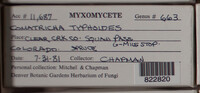 Image Associated With the Occurence